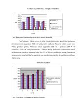 Kompiuterizuoto įmonės veiklos modeliavimo praktikos ataskaita: šildymo katilų gamyba UAB "Šiluma" 6 puslapis