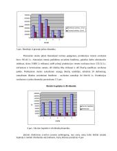 Kompiuterizuoto įmonės veiklos modeliavimo praktikos ataskaita: šildymo katilų gamyba UAB "Šiluma" 7 puslapis