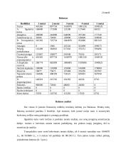 Kompiuterizuoto įmonės veiklos modeliavimo praktikos ataskaita: šildymo katilų gamyba UAB "Šiluma" 8 puslapis