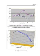 Kompiuterizuoto įmonės veiklos modeliavimo praktikos ataskaita: UAB "Ugnelė" 13 puslapis