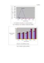 Kompiuterizuoto įmonės veiklos modeliavimo praktikos ataskaita: UAB "Ugnelė" 16 puslapis
