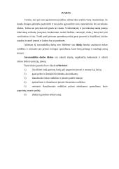 Kompiuterizuoto įmonės veiklos modeliavimo praktikos ataskaita: UAB "Ugnelė" 3 puslapis