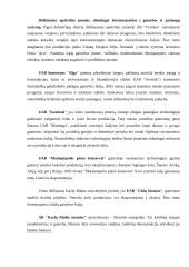 Užsienio investicijos Lietuvoje 13 puslapis