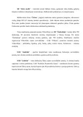 Užsienio investicijos Lietuvoje 14 puslapis