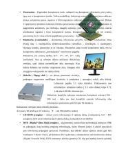 Komunikacinės biuro įrangos valdymo praktikos ataskaita: IĮ medienos eksploatavimas 5 puslapis