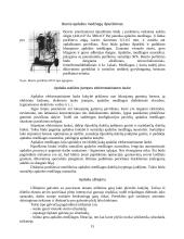 Kvalifikacinės praktikos ataskaita: medienos apdirbimas 15 puslapis