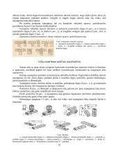Kvalifikacinės praktikos ataskaita: medienos apdirbimas 10 puslapis