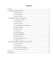 Vadybos teoretikai ir jų indėlis vadybos moksle 3 puslapis