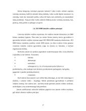 Vadovybės atsakomybė: UAB "Panevėžio Aurida" 17 puslapis