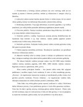 Vadovybės atsakomybė: UAB "Panevėžio Aurida" 18 puslapis