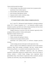 Vadovybės atsakomybė: UAB "Panevėžio Aurida" 20 puslapis