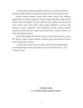 Vadovybės atsakomybė: UAB "Panevėžio Aurida" 3 puslapis
