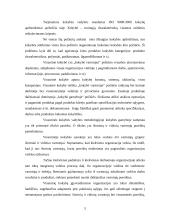 Vadovybės atsakomybė: UAB "Panevėžio Aurida" 5 puslapis