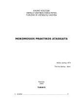 Mokomosios praktikos ataskaita: kelionių centras UAB "Megaturas"
