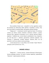 Mokomosios praktikos ataskaita: kelionių centras UAB "Megaturas" 3 puslapis