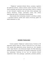 Mokomosios praktikos ataskaita: kelionių centras UAB "Megaturas" 4 puslapis