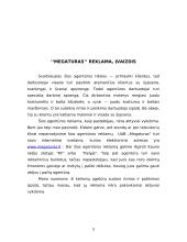 Mokomosios praktikos ataskaita: kelionių centras UAB "Megaturas" 10 puslapis