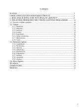 Vaizdo ir teksto santykis reklamoje 2 puslapis