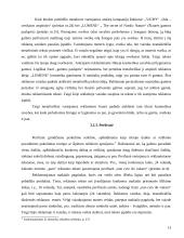 Vaizdo ir teksto santykis reklamoje 13 puslapis