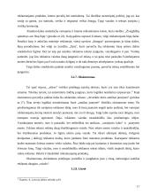 Vaizdo ir teksto santykis reklamoje 17 puslapis