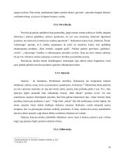 Vaizdo ir teksto santykis reklamoje 19 puslapis