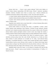 Vaizdo ir teksto santykis reklamoje 3 puslapis