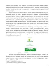 Vaizdo ir teksto santykis reklamoje 6 puslapis