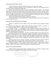 Mokomosios praktikos ataskaita: liejimas 2 puslapis