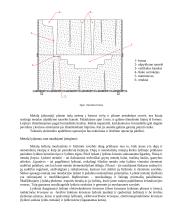 Mokomosios praktikos ataskaita: liejimas 5 puslapis
