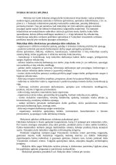 Neformalios sveikatos ugdymo veiklos vertinimas: Švenčionėlių antroji vidurinė mokykla 12 puslapis