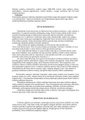 Neformalios sveikatos ugdymo veiklos vertinimas: Švenčionėlių antroji vidurinė mokykla 13 puslapis