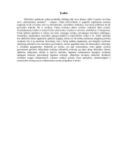 Neformalios sveikatos ugdymo veiklos vertinimas: Švenčionėlių antroji vidurinė mokykla 3 puslapis