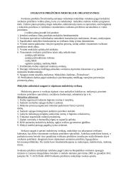 Neformalios sveikatos ugdymo veiklos vertinimas: Švenčionėlių antroji vidurinė mokykla 4 puslapis