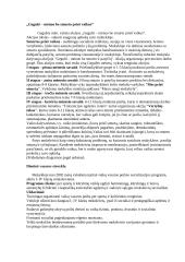 Neformalios sveikatos ugdymo veiklos vertinimas: Švenčionėlių antroji vidurinė mokykla 9 puslapis