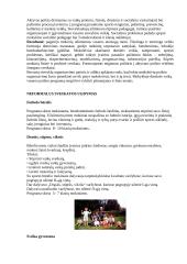 Neformalios sveikatos ugdymo veiklos vertinimas: Švenčionėlių antroji vidurinė mokykla 10 puslapis