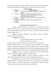 Valdymo procesas 2 puslapis