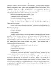 Valdymo procesas 16 puslapis