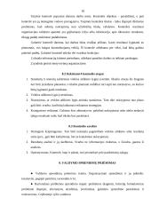 Valdymo procesas 17 puslapis