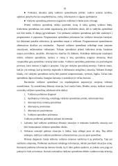 Valdymo procesas 18 puslapis