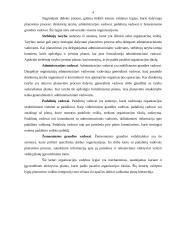 Valdymo procesas 3 puslapis