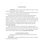 Valdymo procesas 8 puslapis