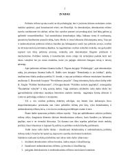 Valstybės politinis režimas 2 puslapis