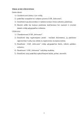 Pažintinės praktikos aprašymas: informacinių technologijų kompanija UAB "Infovartai" 3 puslapis