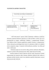Pažintinės praktikos aprašymas: informacinių technologijų kompanija UAB "Infovartai" 6 puslapis