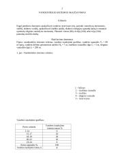 Vandentiekio sistema 2 puslapis