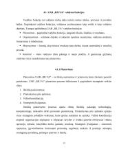 Pažintinės praktikos ataskaita: maisto gamyba UAB "Rilva" 13 puslapis