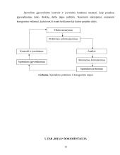 Pažintinės praktikos ataskaita: maisto gamyba UAB "Rilva" 18 puslapis