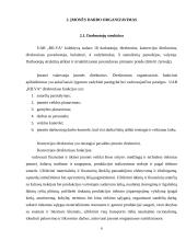 Pažintinės praktikos ataskaita: maisto gamyba UAB "Rilva" 6 puslapis