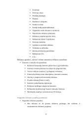 Pažintinės praktikos ataskaita: reklamos agentūra UAB "Advista" 11 puslapis