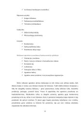 Pažintinės praktikos ataskaita: reklamos agentūra UAB "Advista" 13 puslapis